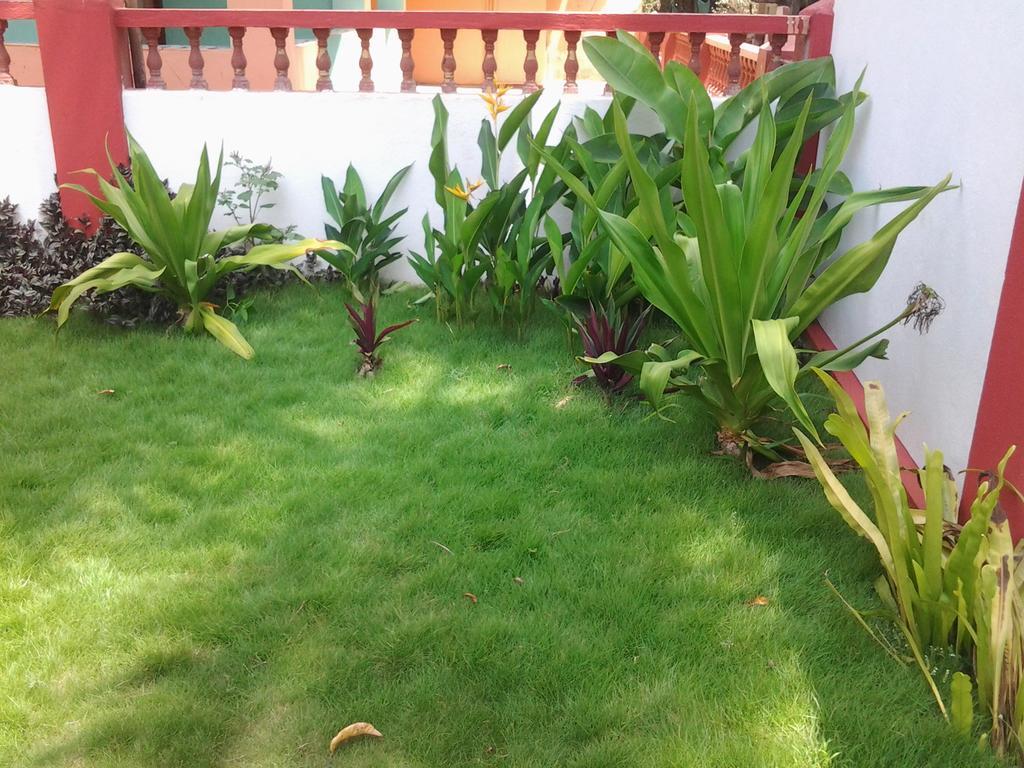 Starco Hotel Anjuna Exterior foto